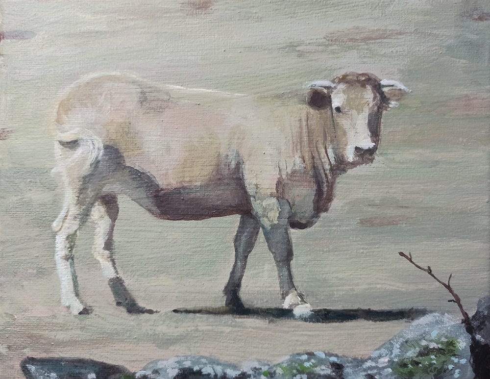 Vaca 18 X 24 Cm Andoni Azurmendi